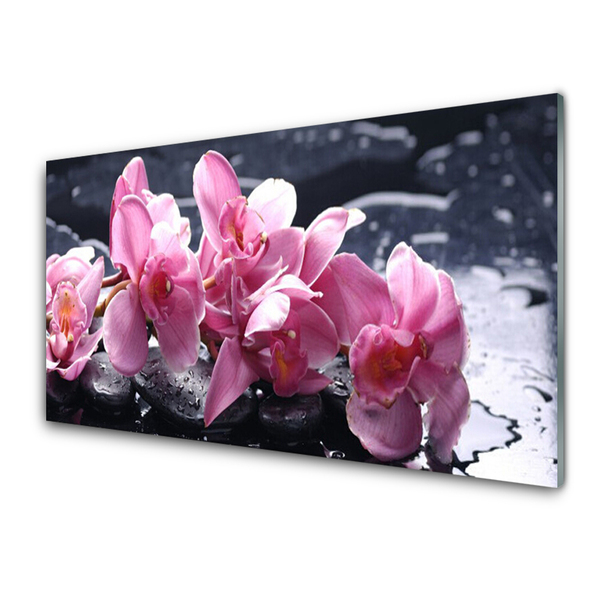 Slika na akrilnem steklu Orchid cvet za mir