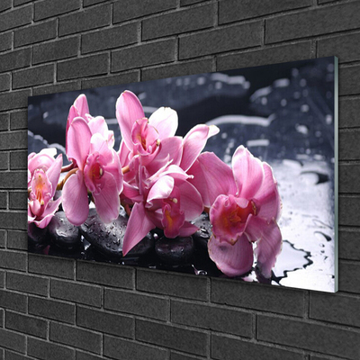 Slika na akrilnem steklu Orchid cvet za mir