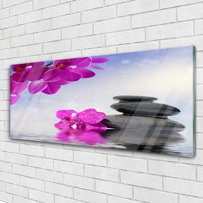 Slika na akrilnem steklu Orchid cvetje rastlin
