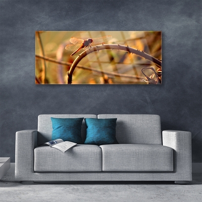 Slika na akrilnem steklu Dragonfly narava rastlin