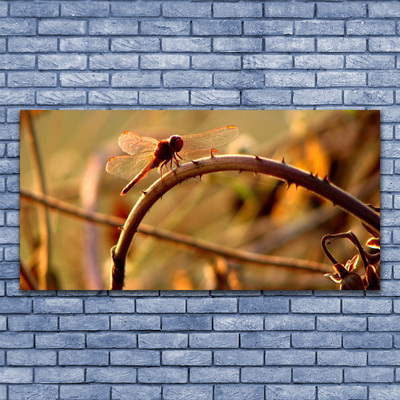 Slika na akrilnem steklu Dragonfly narava rastlin