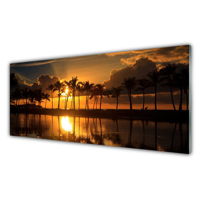 Slika na akrilnem steklu Drevo sun landscape