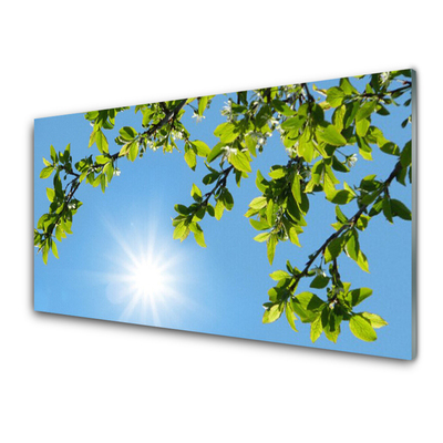 Slika na akrilnem steklu Sonce narava
