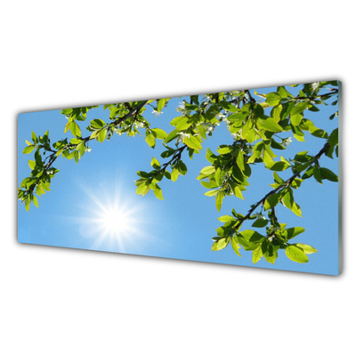 Slika na akrilnem steklu Sonce narava