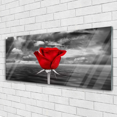 Slika na akrilnem steklu Rose flower rastlin morje