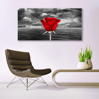 Slika na akrilnem steklu Rose flower rastlin morje