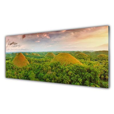Slika na akrilnem steklu Jungle forest narava