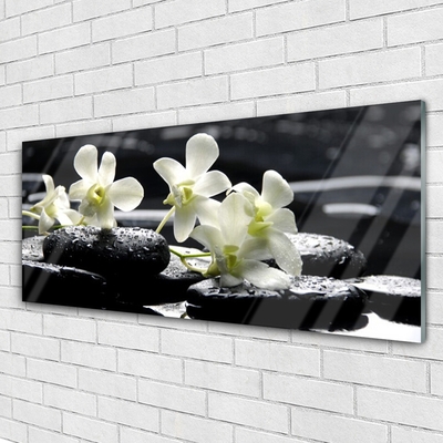 Slika na akrilnem steklu Stones orhidejo rastlin