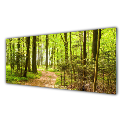 Slika na akrilnem steklu Forest narava pot