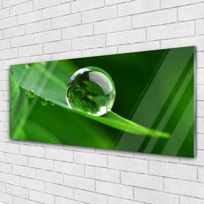 Slika na akrilnem steklu Rastlin leaf water drops