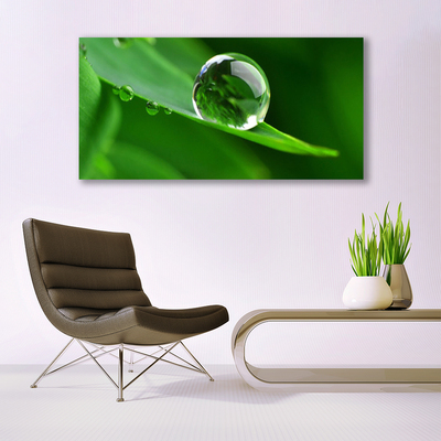 Slika na akrilnem steklu Rastlin leaf water drops