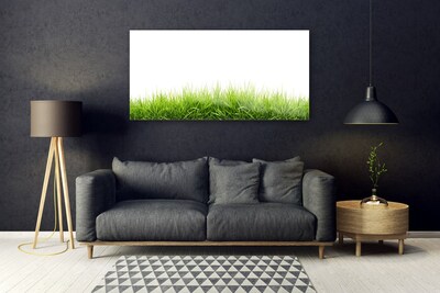 Slika na akrilnem steklu Grass nature rastlin