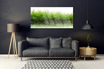 Slika na akrilnem steklu Grass nature voda rastlin