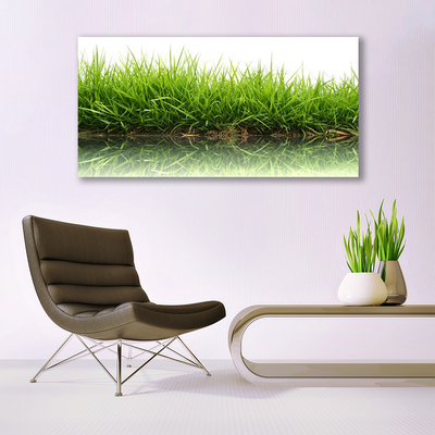 Slika na akrilnem steklu Grass nature voda rastlin