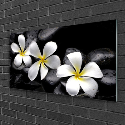 Slika na akrilnem steklu Plumeria cvet rastlina