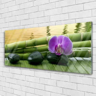 Slika na akrilnem steklu Flower stones bamboo narava