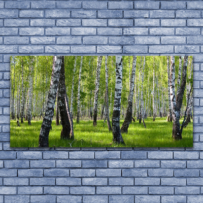Slika na akrilnem steklu Gozdna drevesa narava