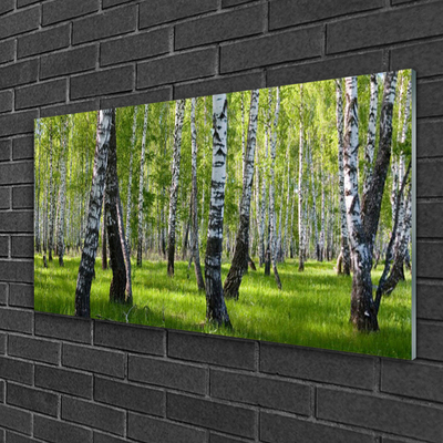 Slika na akrilnem steklu Gozdna drevesa narava