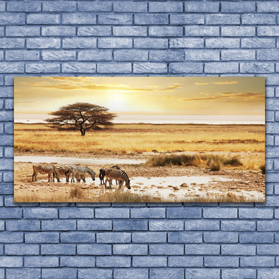 Slika na akrilnem steklu Zebra safari landscape