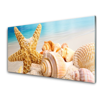 Slika na akrilnem steklu Starfish shell art