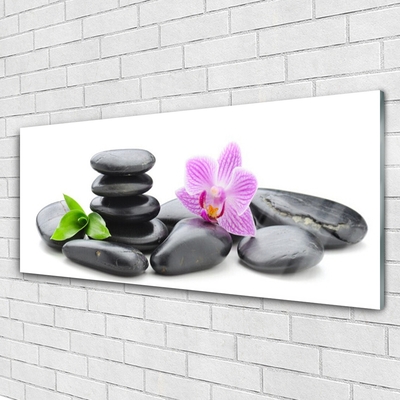 Slika na akrilnem steklu Flower zen stones