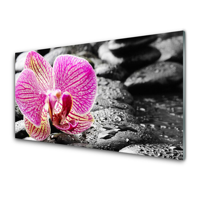 Slika na akrilnem steklu Orchid cvet stones
