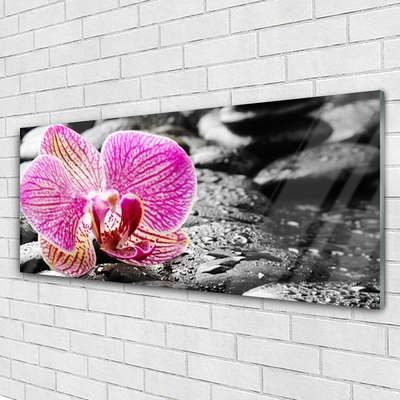 Slika na akrilnem steklu Orchid cvet stones