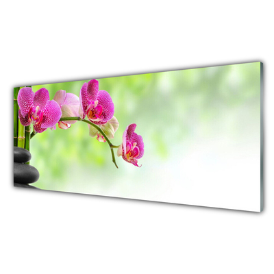Slika na akrilnem steklu Narava bambusa cvet