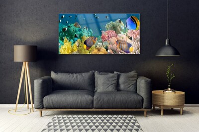 Slika na akrilnem steklu Barrier reef narava