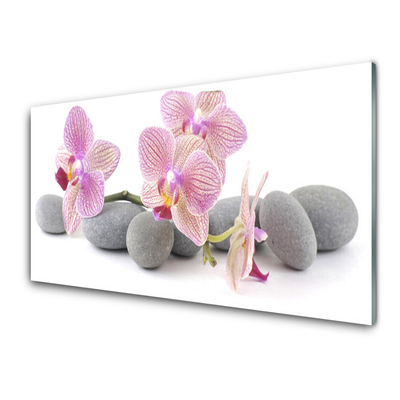 Slika na akrilnem steklu Tree rastlin stones