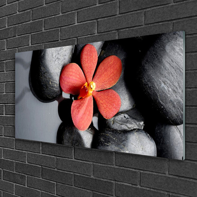 Slika na akrilnem steklu Flower stones art