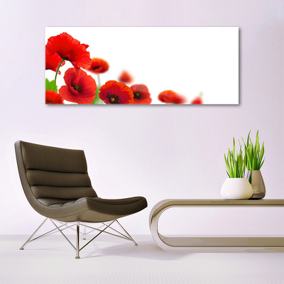 Slika na akrilnem steklu Red poppies narava