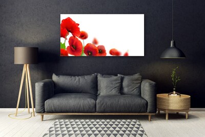 Slika na akrilnem steklu Red poppies narava