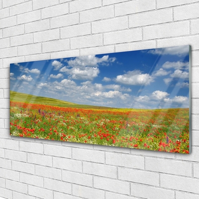 Slika na akrilnem steklu Cvetje travnik landscape
