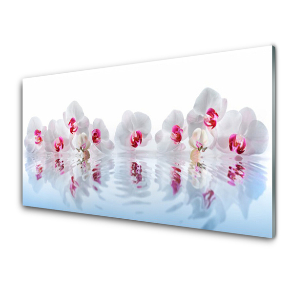Slika na akrilnem steklu Rože narava art rastlin