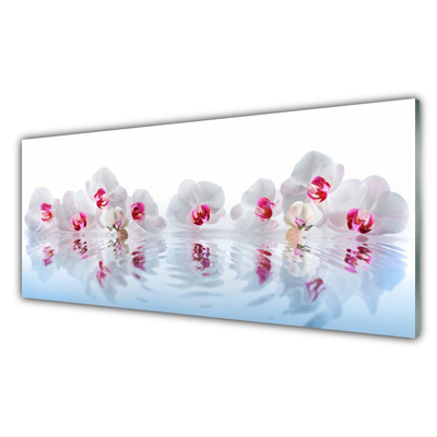Slika na akrilnem steklu Rože narava art rastlin