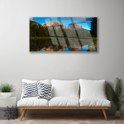 Slika na akrilnem steklu Forest lake landscape