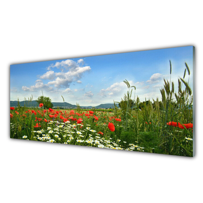 Slika na akrilnem steklu Travniškega cvetja nature rastlin