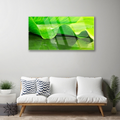 Slika na akrilnem steklu Rastlina leaf narava