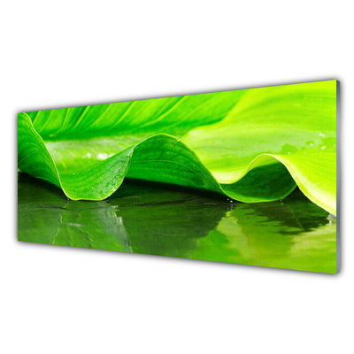 Slika na akrilnem steklu Rastlina leaf narava
