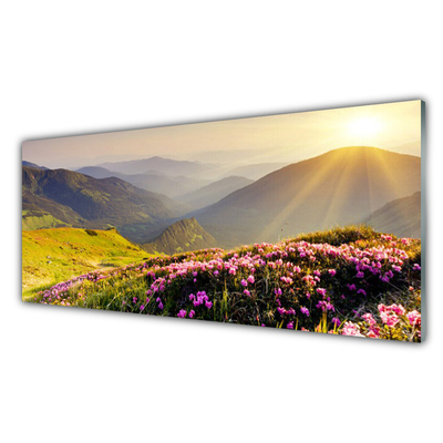 Slika na akrilnem steklu Mountain travnik landscape