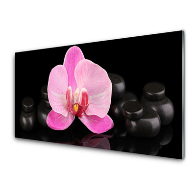 Slika na akrilnem steklu Stones cvet rastlina