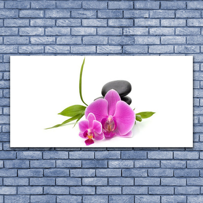 Slika na akrilnem steklu Stones cvet rastlina