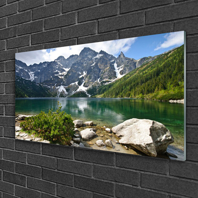 Slika na akrilnem steklu Lake mountains landscape