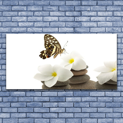 Slika na akrilnem steklu Butterfly flower rastlin stones