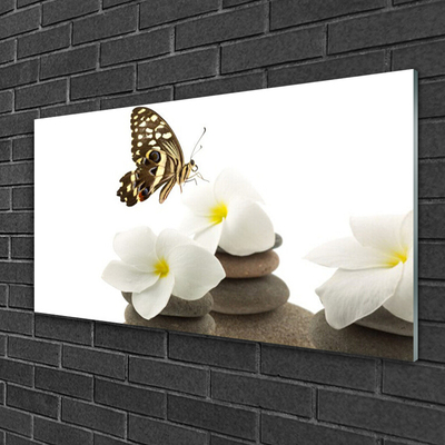 Slika na akrilnem steklu Butterfly flower rastlin stones