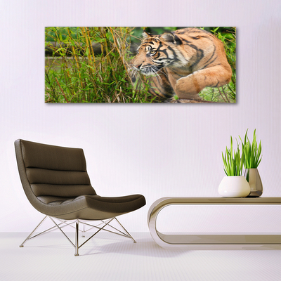 Slika na akrilnem steklu Tiger živali