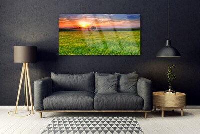 Slika na akrilnem steklu Sun travnik narava