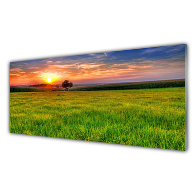 Slika na akrilnem steklu Sun travnik narava