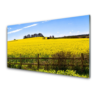 Slika na akrilnem steklu Rastlin polje landscape